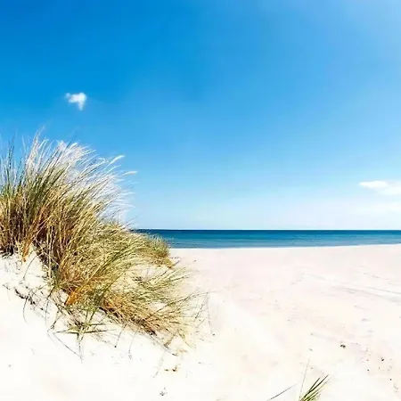 Charming Log Near The Sea